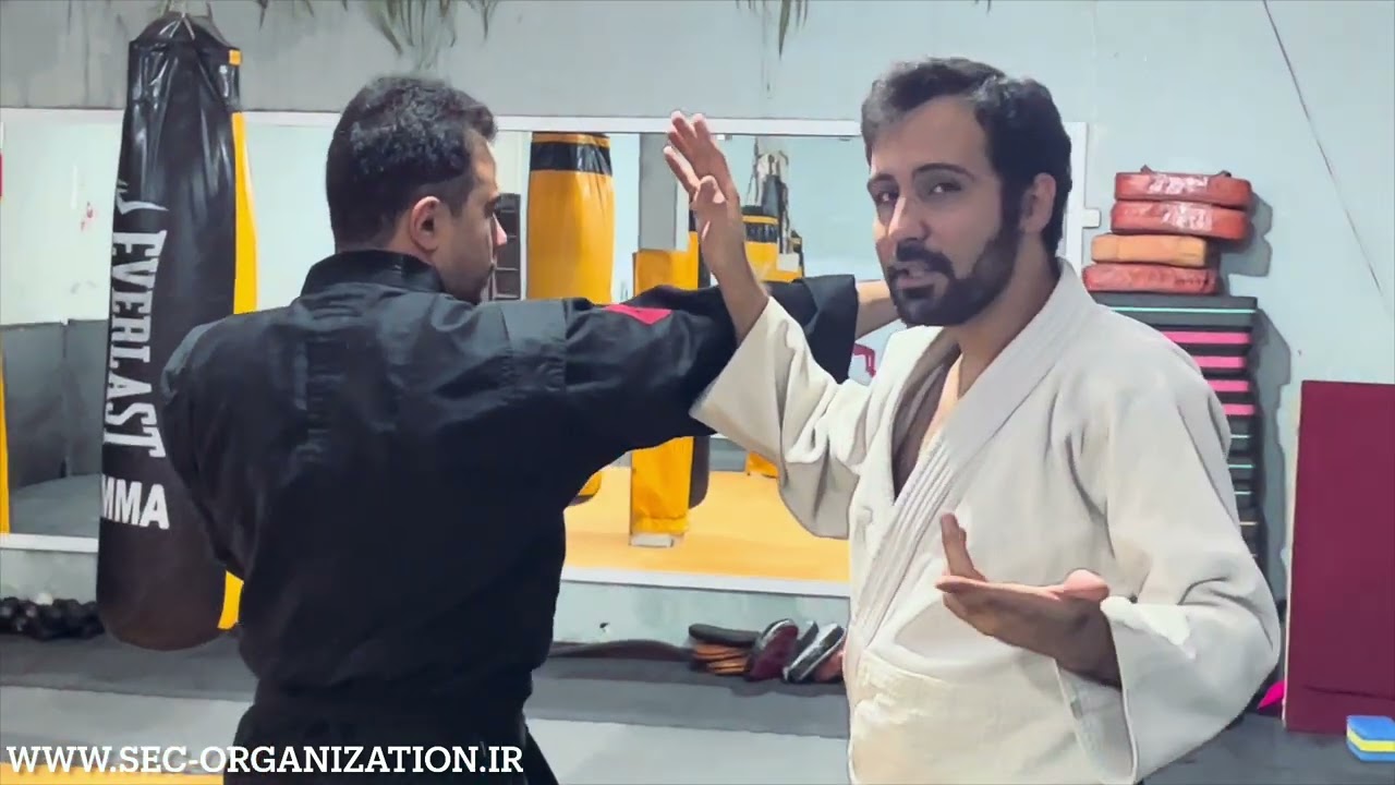 دفاع بادبزنی ویژه رفع ضربه - دفاع شخصی خیابانی