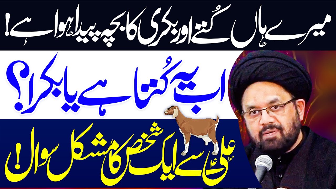 Ye Bakra Hai Ya Kutta | Maulana Syed Shahryar Raza Abidi | ⓒ
