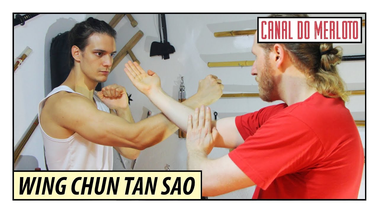 WING CHUN TAN SAO E KAN SAO | AULA DE KUNG FU