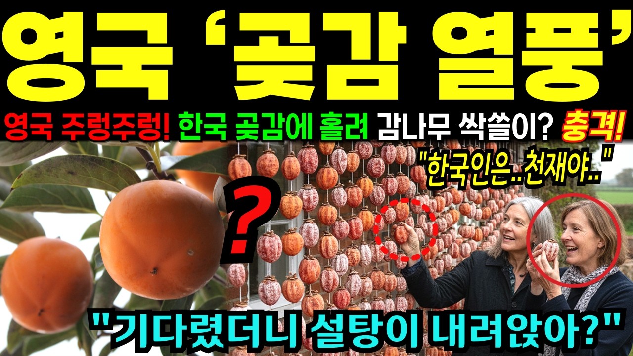 [해외감동사연] 