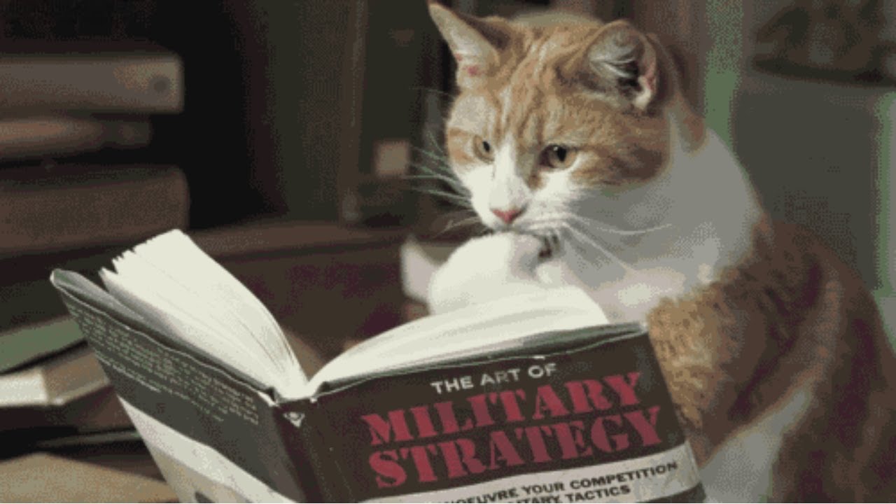 When you have a genius Cat at home!