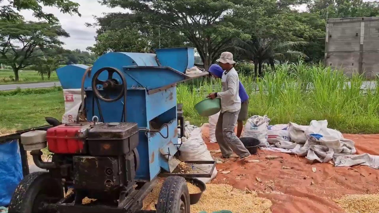NEXT LEVEL FARMING! MODERN MACHINE HANDLES CORN SEEDS EASILY!-agricultural techniques