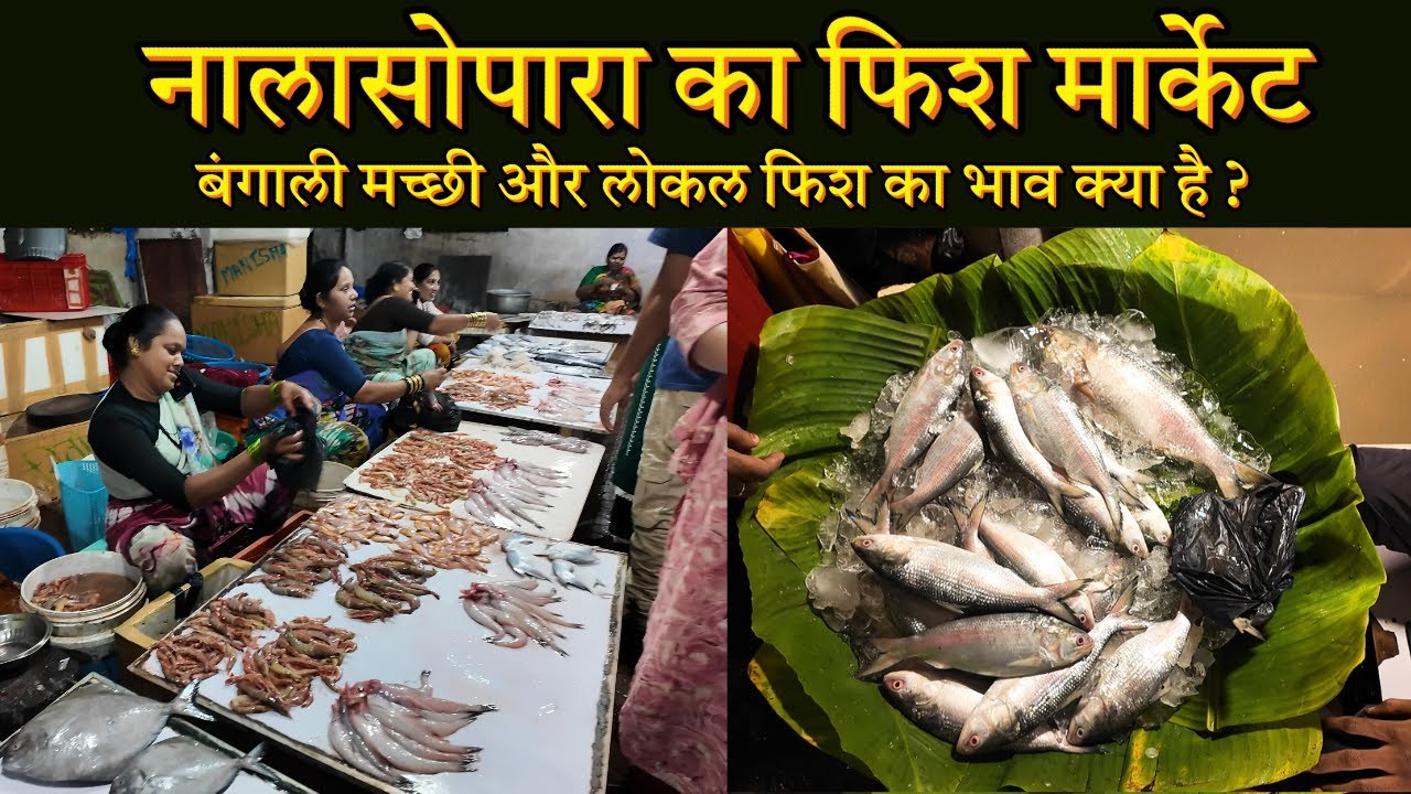 Nalasopara Fish Market | Mumbai Nalasopara Fish Market | Nalasopara Fish Market Latest Market Video