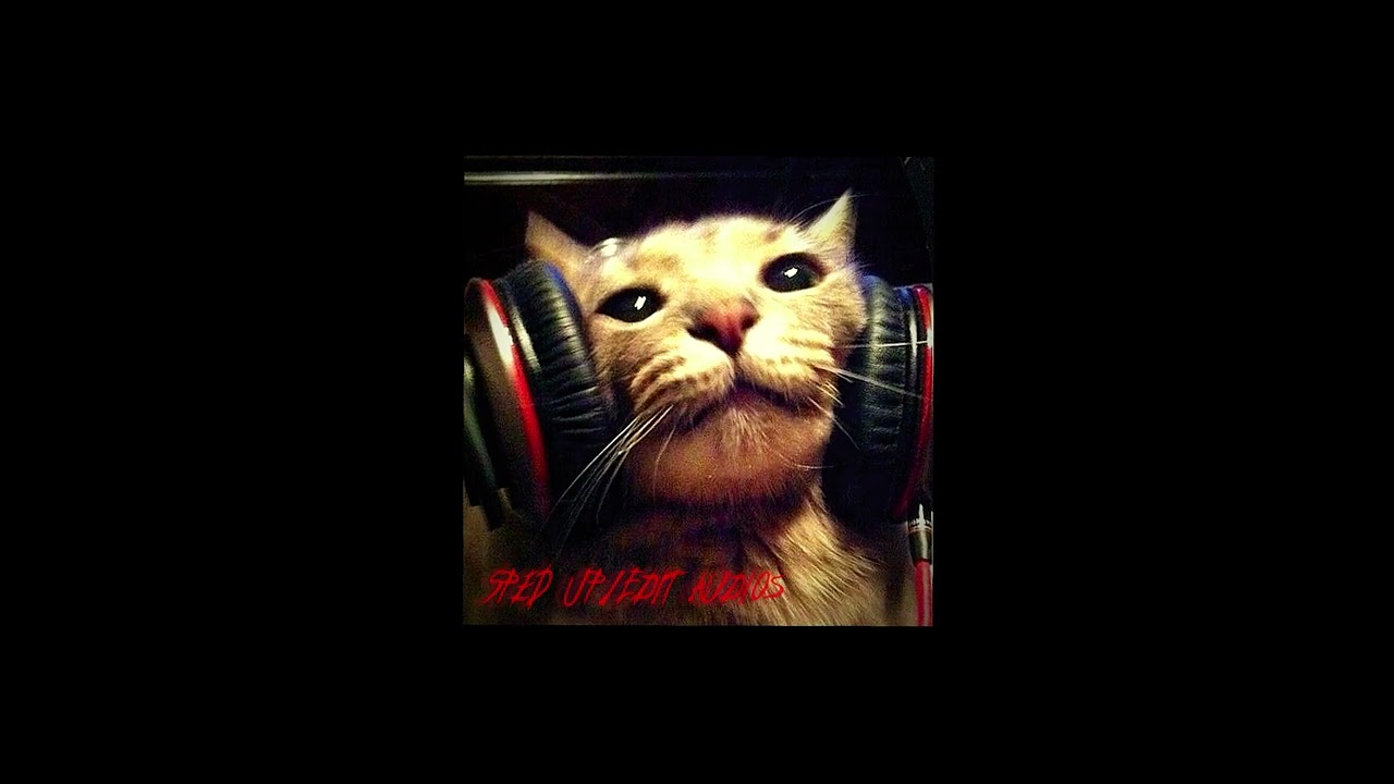 my fav edit sped up/edit audios🐱‍👤