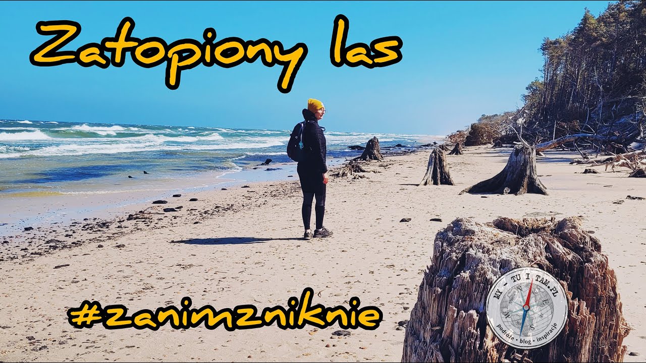 ZANIM ZNIKNIE - Zatopiony Las koło Czołpina