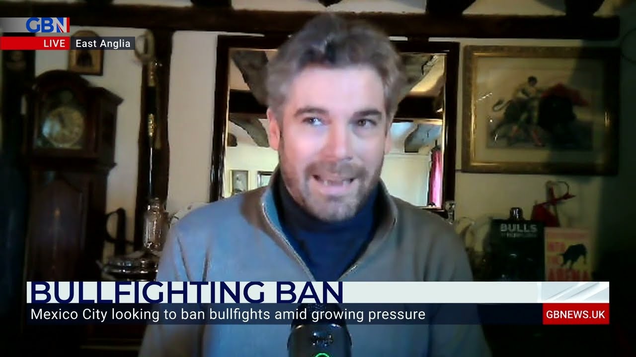 Bullfighting ban: ‘The pros and cons of this need to be weighed very carefully'
