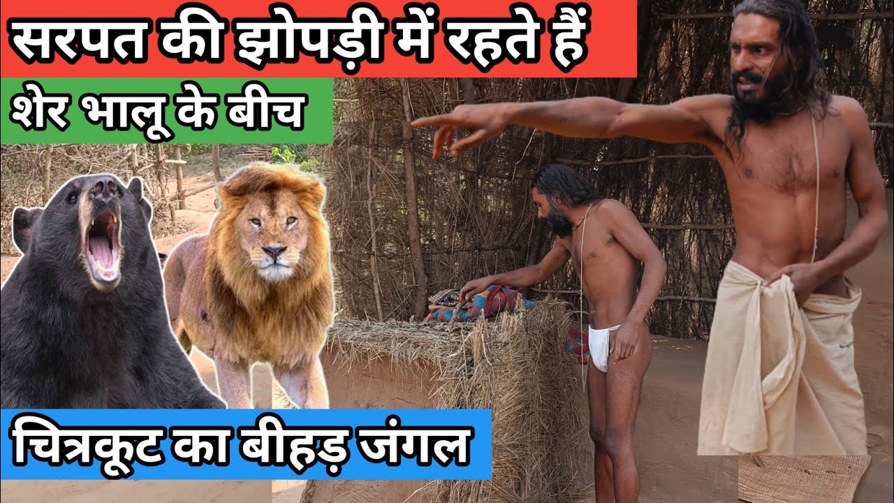 सरपत की झोपड़ी में रहने वाले संत सेर भालू के बीच रहते है Sarpat ki chhopadi me rahne wale sant
