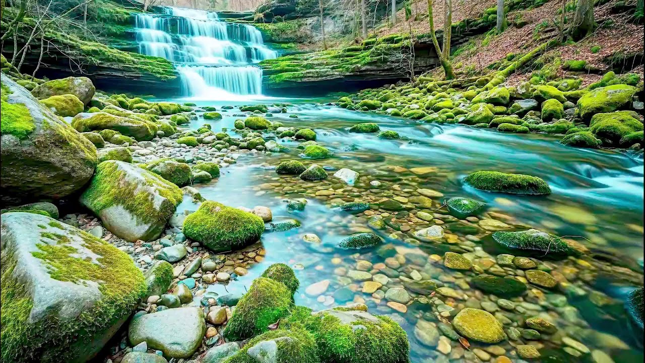 Flowing River Sound for Deep Sleep | Calm Nature Noise for Wellness and Sleep Aid