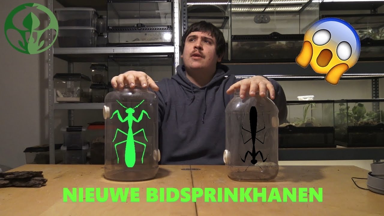 NIEUWE BIDSPRINKHANEN
