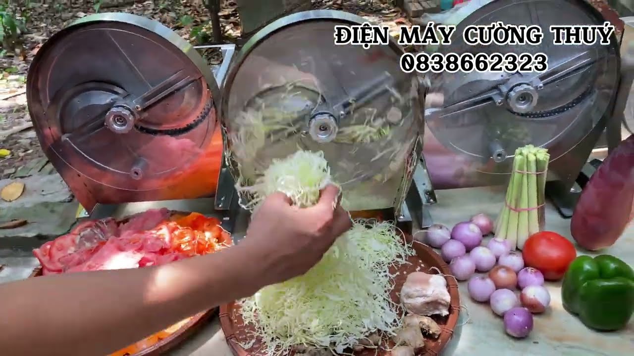 Máy Thái lát Hành,tỏi,sả,bắp cải,sung,hành tây,cà rốt và nhiều loại củ quả khác