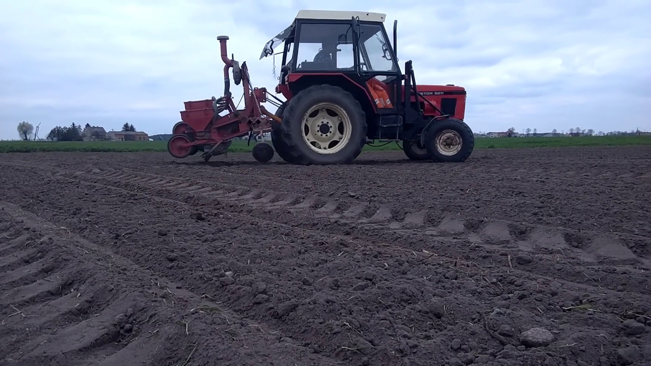 🔥SIEW KUKURYDZY 2019🔥ZETOR 6211🌱