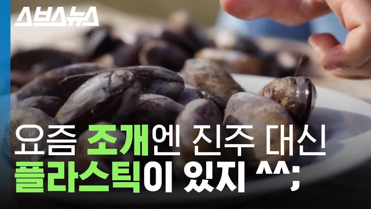 *충격* 조개 속에서 발견된 미세 플라스틱의 정체를 찾아가 봤다 / 스브스뉴스