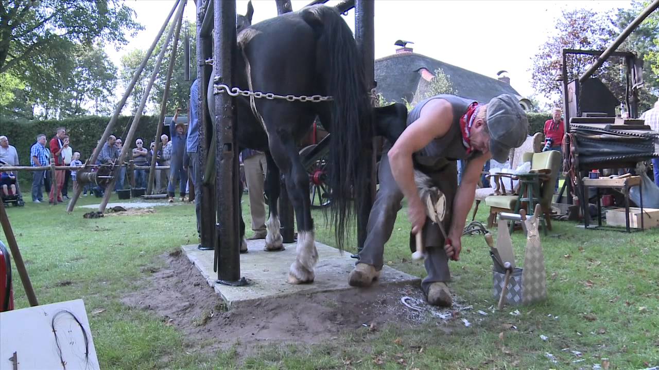 Dag van het werkpaard