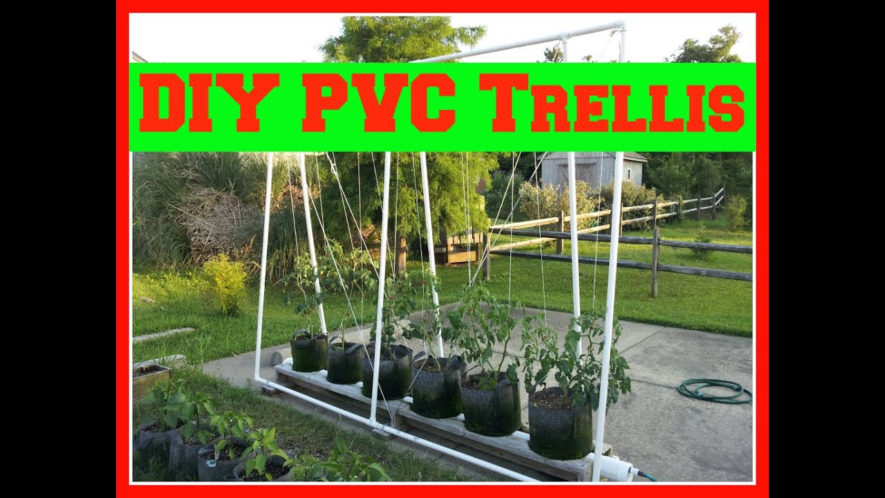 DIY PVC Trellis System for My Hybrid RGGS - 6/15/16