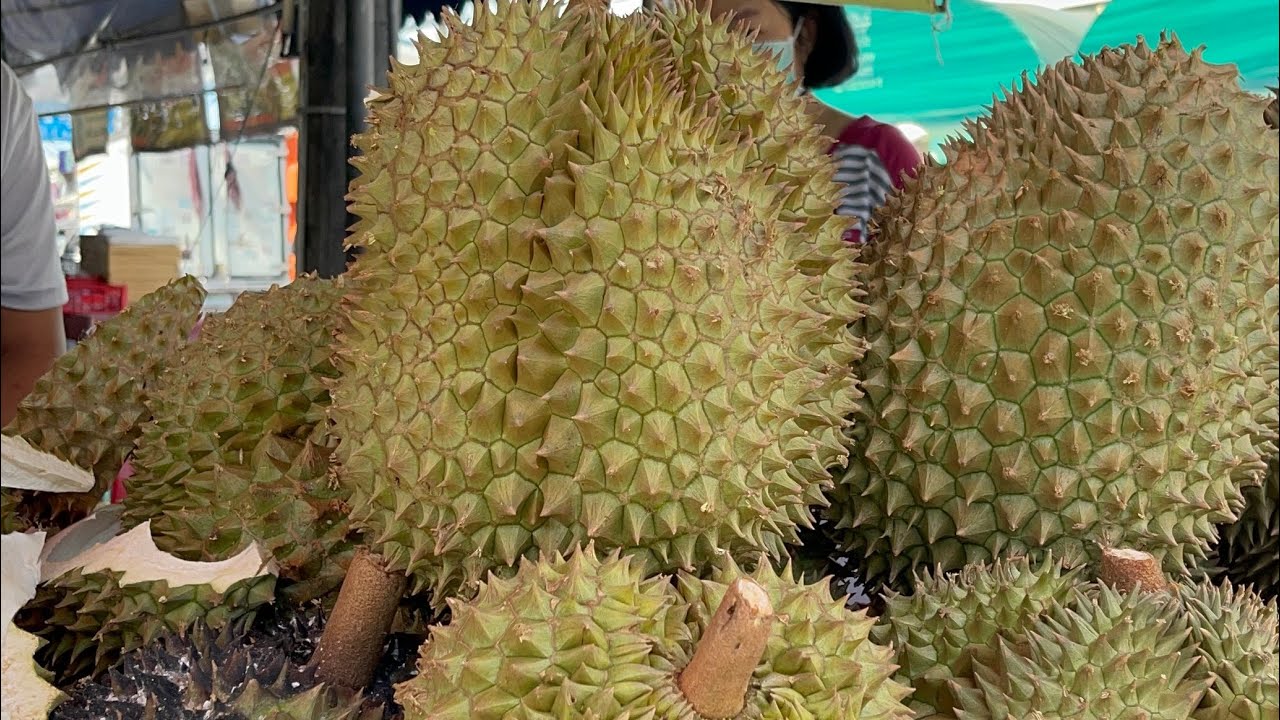อัพเดท….ทุเรียนหมอนทอง 📣ร้านเฮียรักษ์ อาราเบ้ #บ่าวนิพลพากินพาเที่ยว #thailand