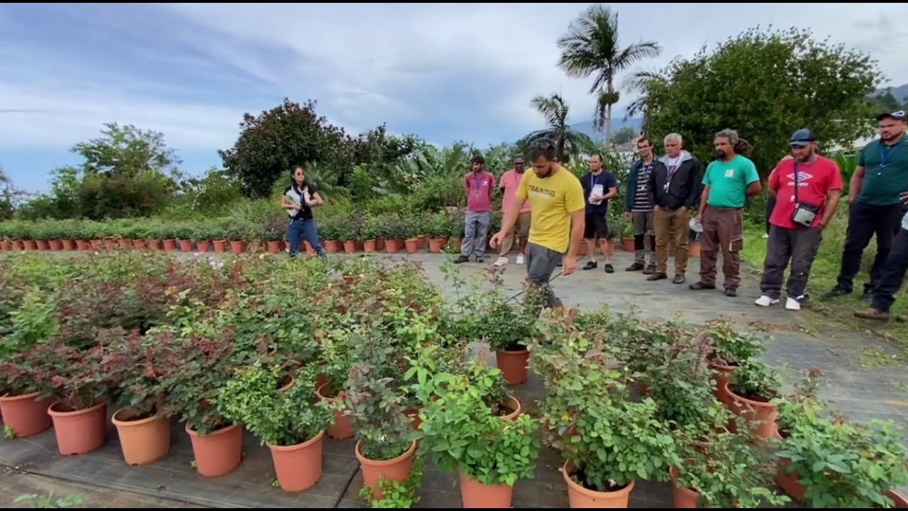 🌿 Formation – Protection Biologique Intégrée (PBI) en horticulture