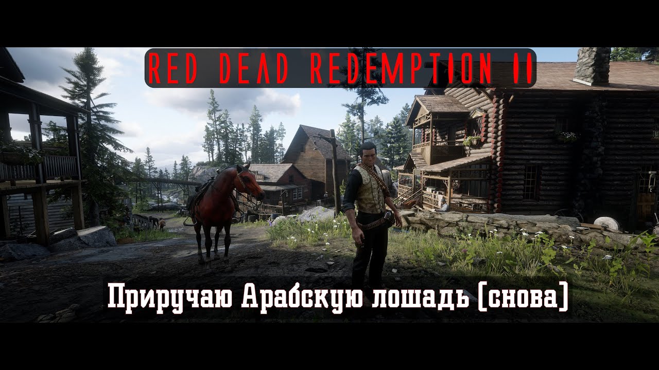 RDR II. Серия 361. Приручаю Арабскую лошадь (снова) (Эпилог, часть 2 - Бичерс Хоуп)