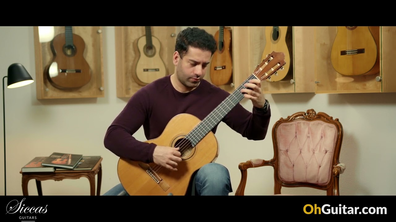 Daniel Friederich 1965 Flamenco Guitar - Ständchen by F. Schubert