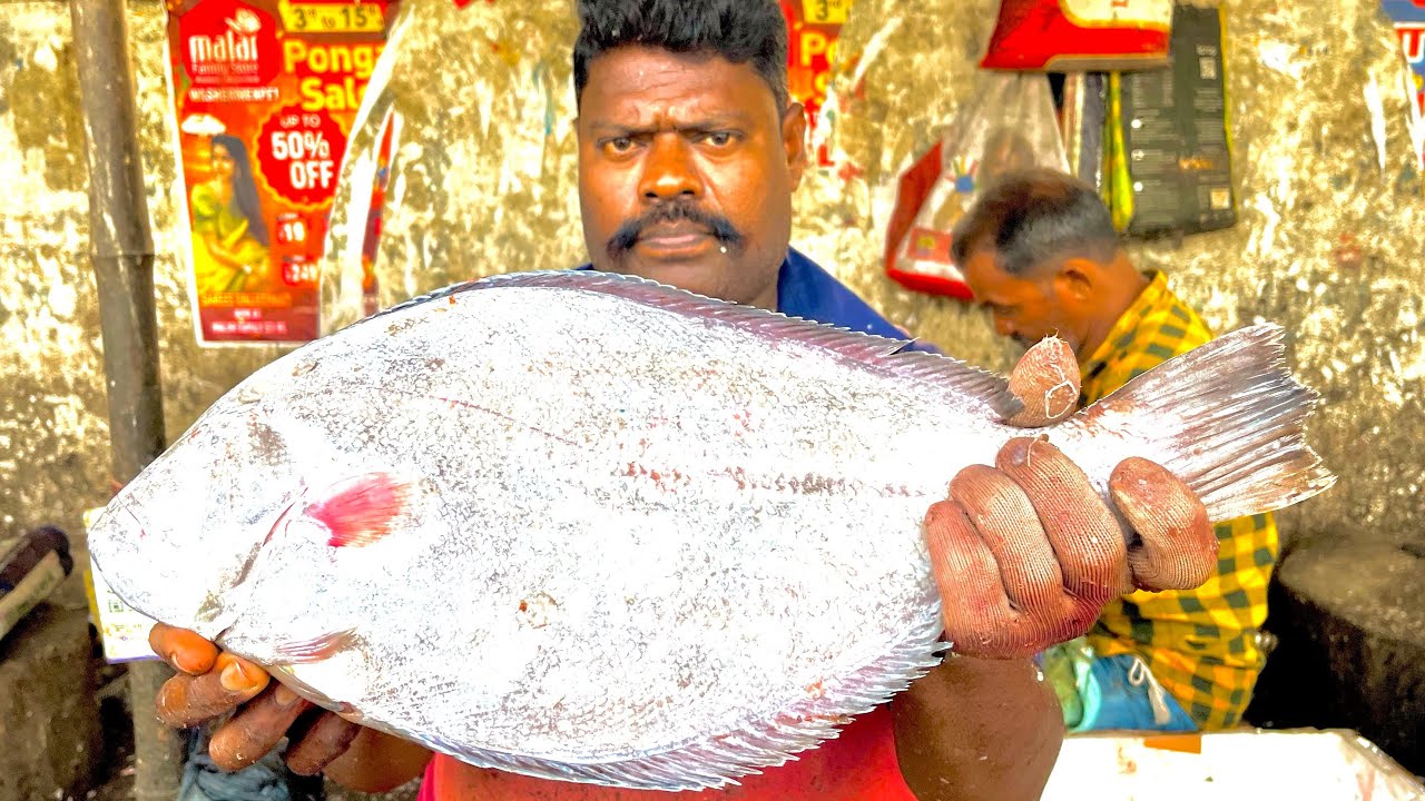 KASIMEDU SPEEDSELVAM BIG SIZE NAAYARLA FISH CUTTING VIDEO #kasimeduselvam #fishcutting 
