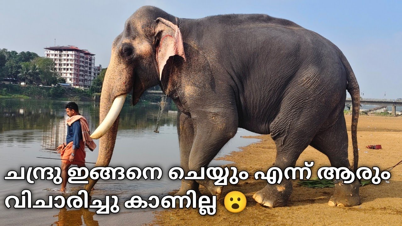 Thiruvambadi chandrasekharan