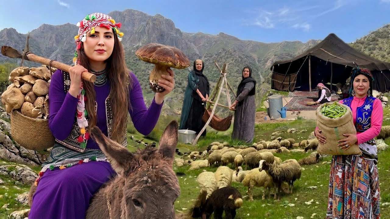 Life in the Hidden Mountains of Zagros | Traditional Mountain Living