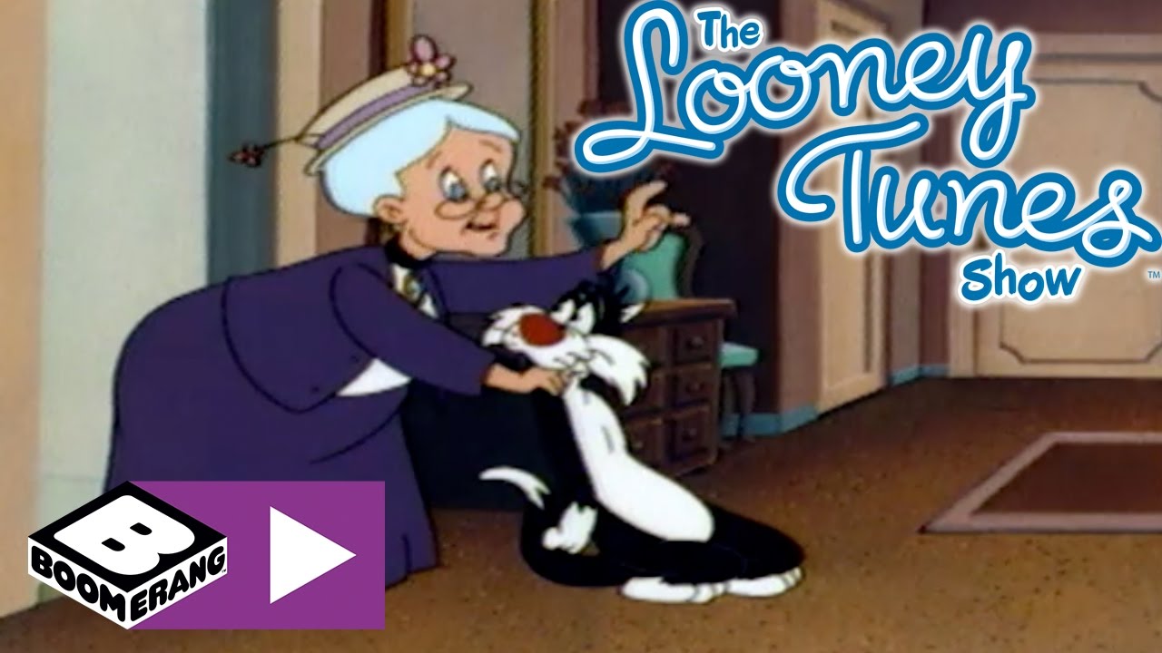 Sylvester & Tweety | Tweety Koruma Altında | Boomerang