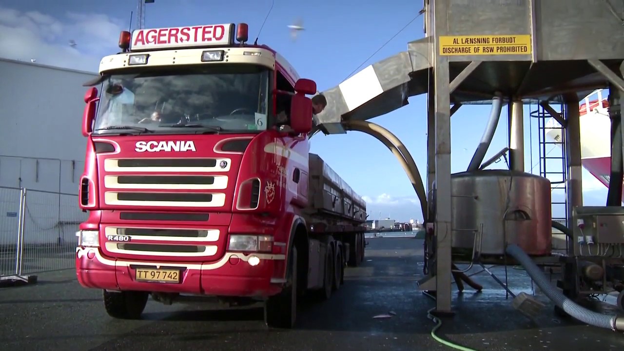 Fishing - Port of Hirtshals