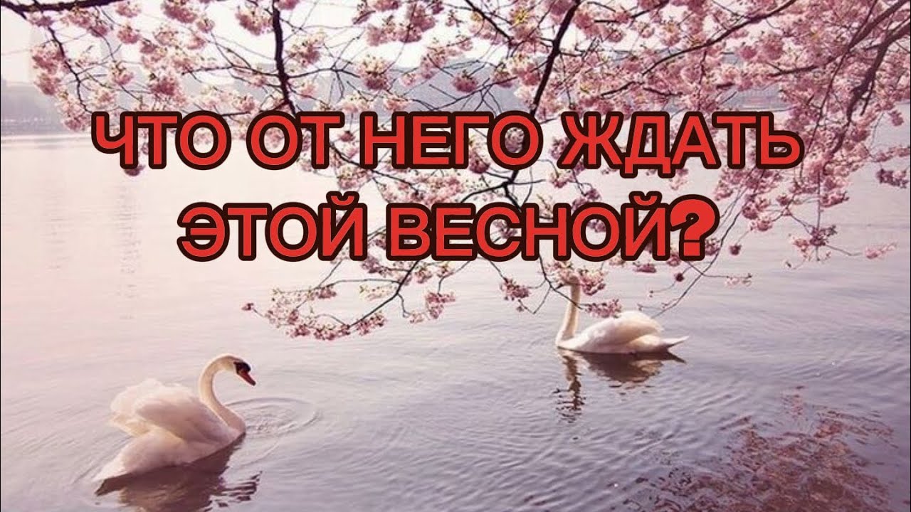 ЧТО ОТ НЕГО ЖДАТЬ ЭТОЙ ВЕСНОЙ? гадание на кофейной гуще.