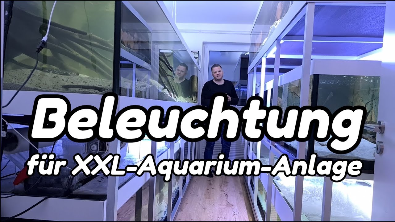 3900l-Zuchtblock - Beleuchtung | Zierblenden anbringen