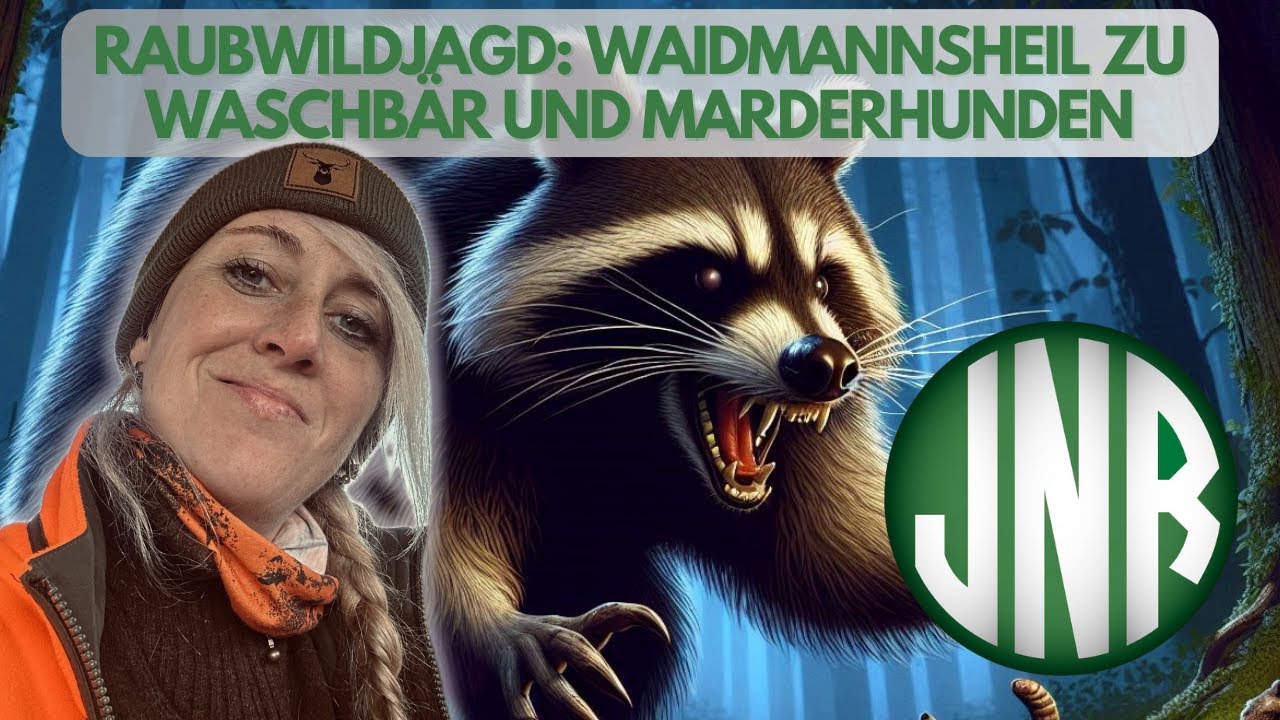 RAUBWILDJAGD !!!!!! Waidmannsheil zu Linda&acute;s Waschb&auml;r und den zwei Marderhunden.