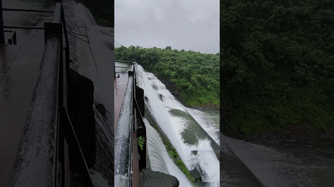 Lost in the right direction ☘️🤞.