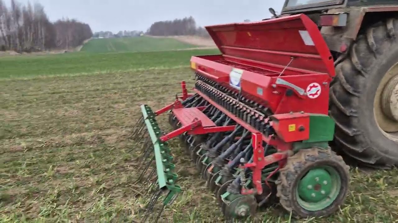 Nostrzyk Biały i Owies wsiewka poplonowa i zagęszczanie łanu # 364