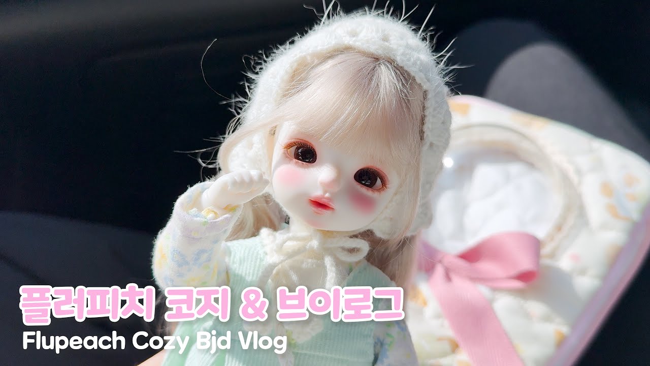 구관보단 일상이 많은 브이로그😁(with 플러피치 코지)ㅣ포동푸딩에서 타코야끼 만들고 동물카페갔다왔어요🐙ㅣ구체관절인형ㅣ구관브이로그ㅣBJD