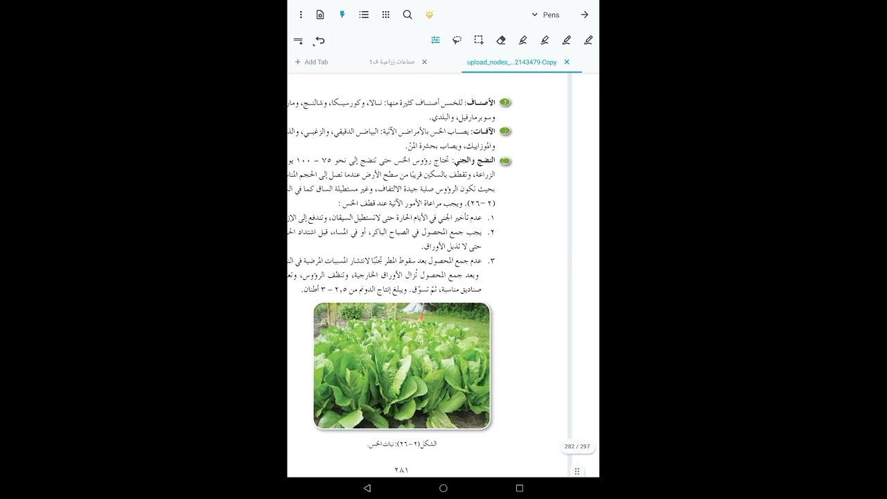 الفصيلة المركبة 