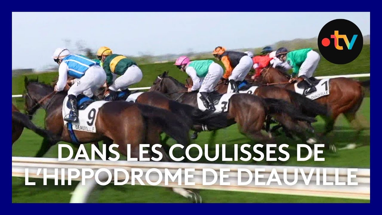 Dans les coulisses de l'hippodrome de Deauville