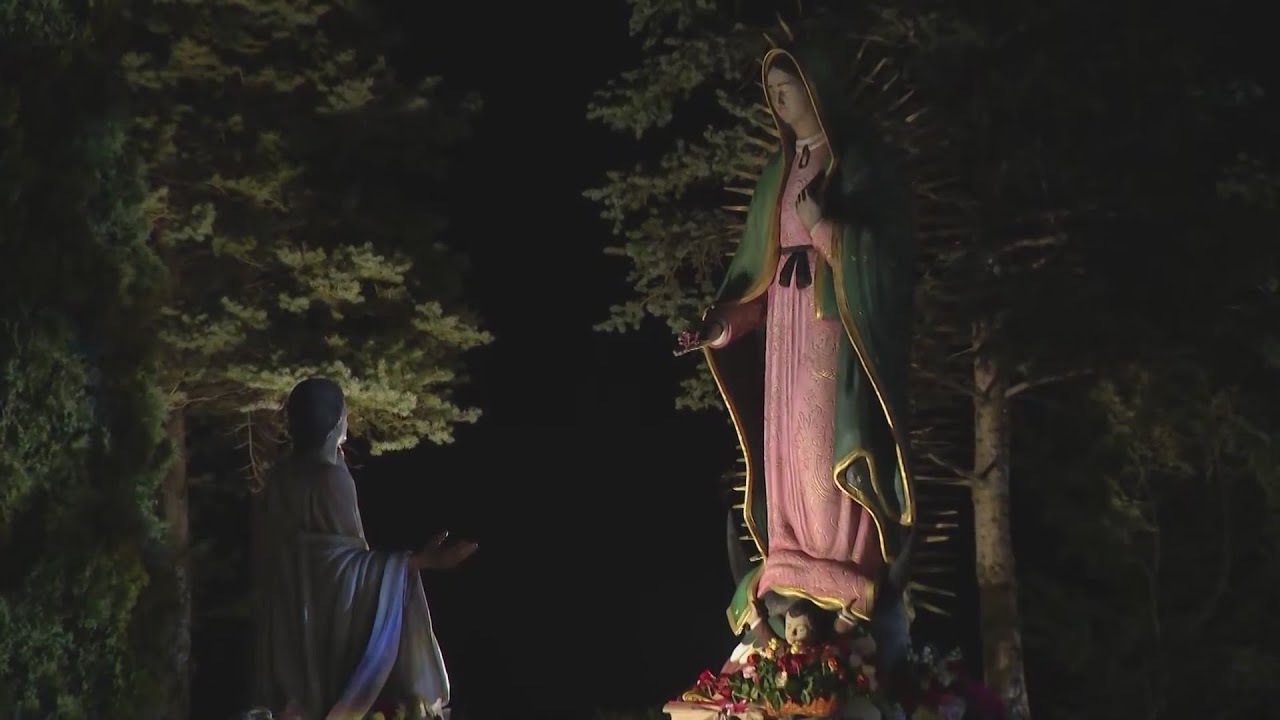 Thousands travel to Des Plaines for Our Lady of Guadalupe Pilgrimage