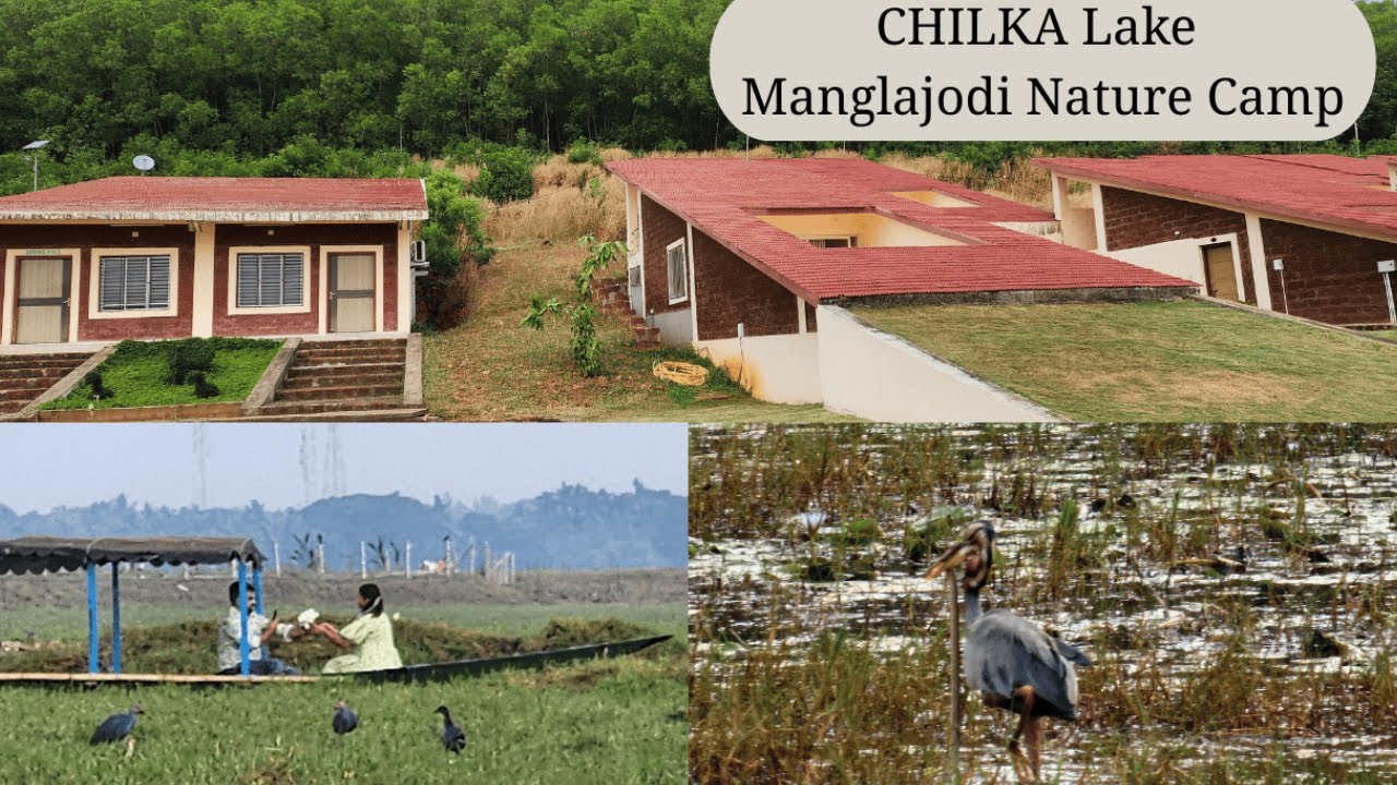 CHILKA lake-Manglajodi Nature Camp : 7N/8D road Trip of Odisha I EP-25 I