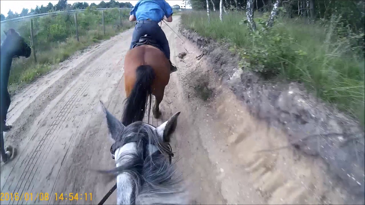 Buitenrit Stal Eikelboom 24 - 08 - 2017