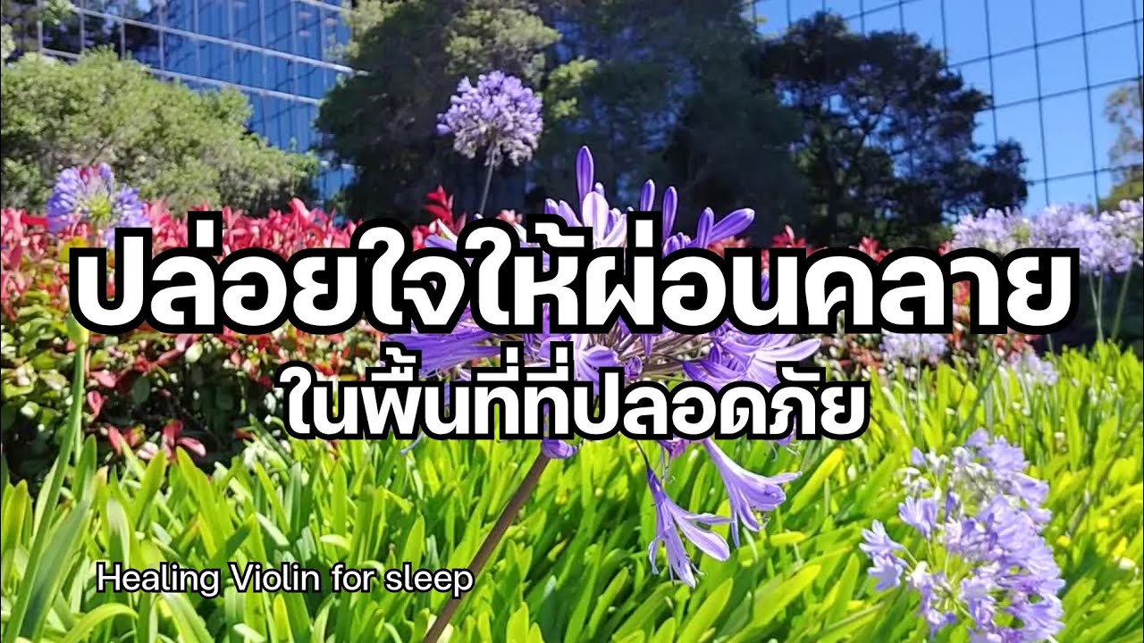 ปล่อยใจให้ผ่อนคลาย ในพื้นที่ที่ปลอดภัย