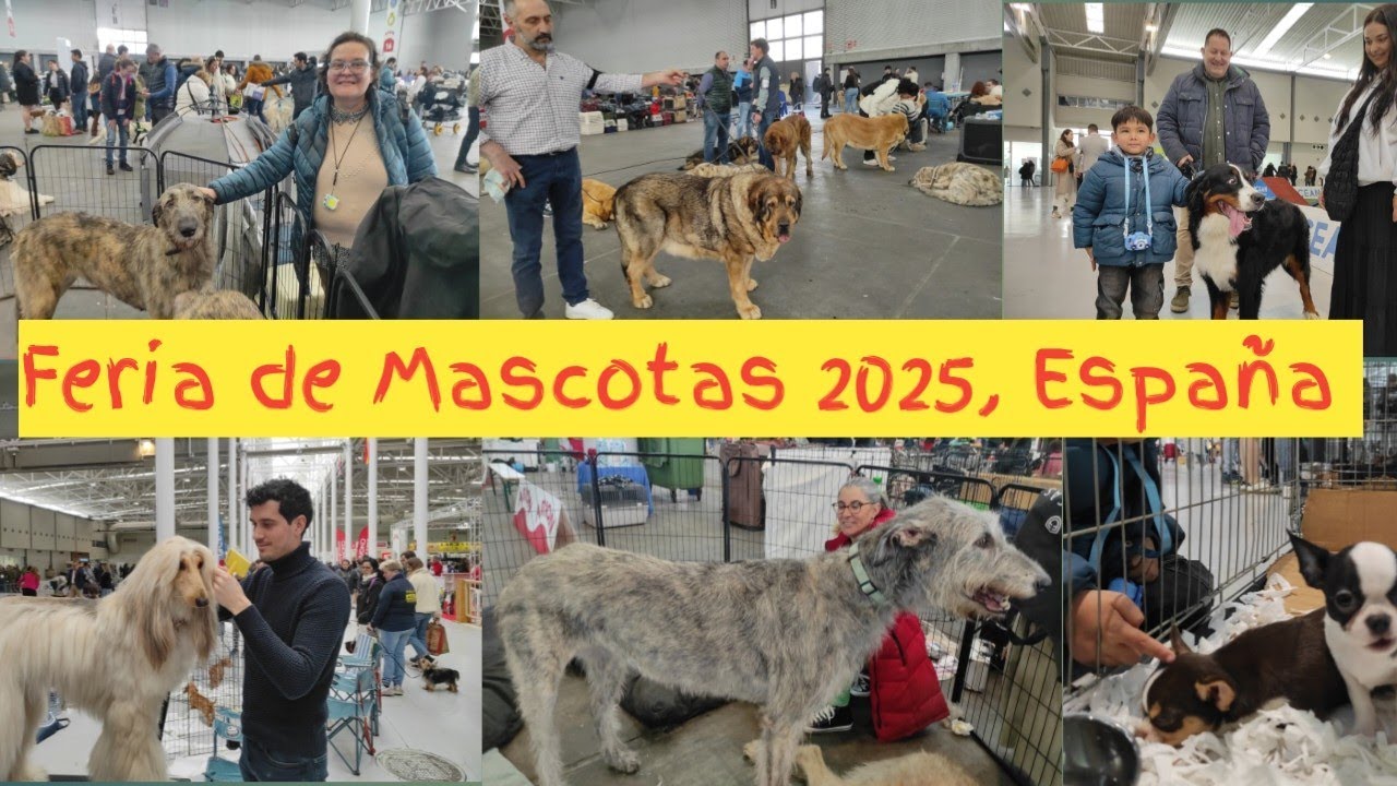 La FERIA más FAMOSA de Mascotas de España | FIMASCOTA 2025 Valladolid, #perros #perro #mascota