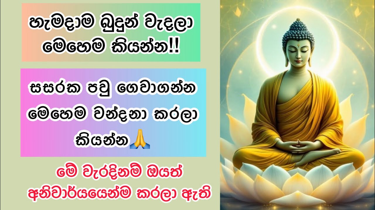 සසරක පවු ගෙවාගන්න පුලුවන් විදිහ| සසර ගැන බය උපදවා ගන්න| අදම වැරදි අඩු පාඩු හදාගන්න🙏🌸