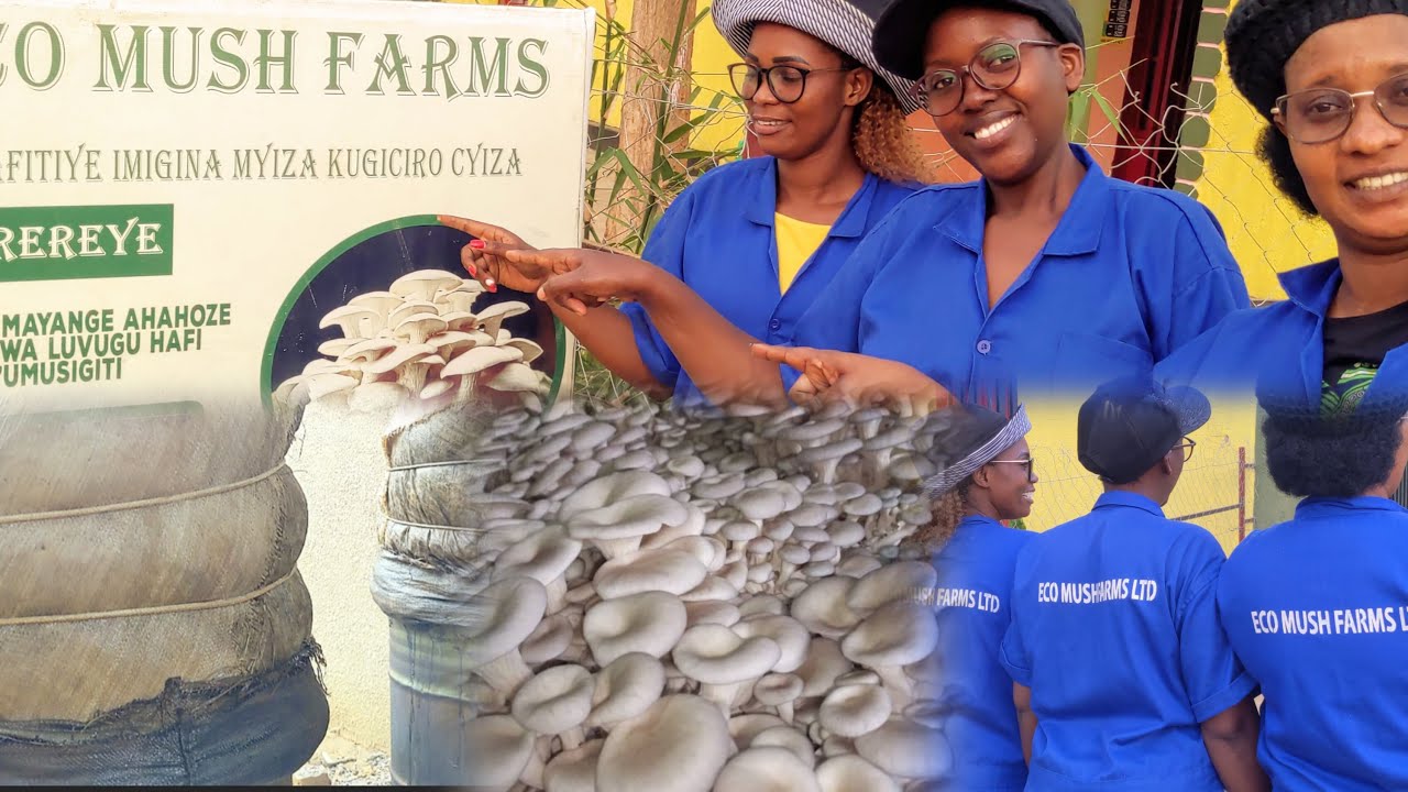 M.CHARLÈNE AFUNGUYE URUGANDA RUKOMEYE RW’UBIHUMYO 👊👊NA BAGENZI BE