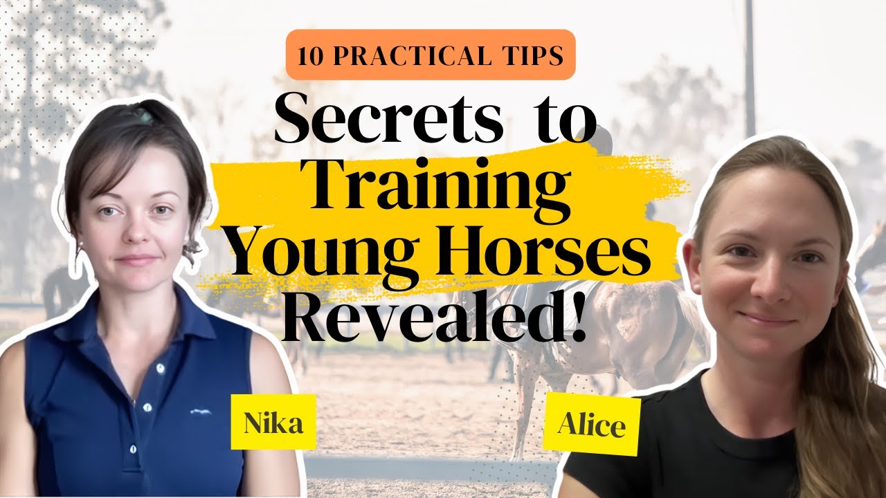 Training young horses: 10 Secrets to training Young Horses