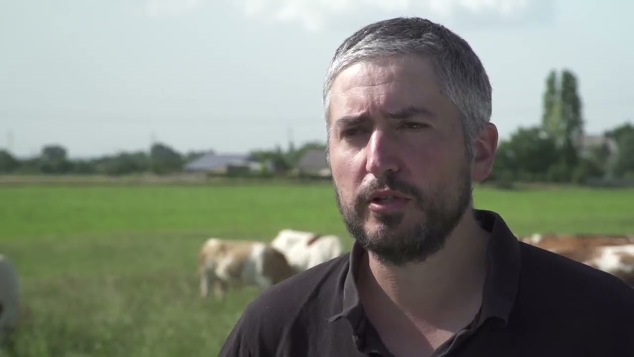 Ferme des Monniers : Maximiser le pâturage et la qualité du foin