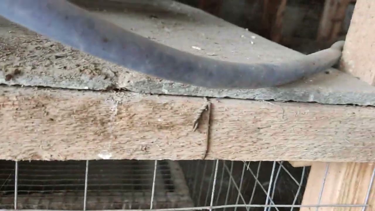 Обещанные размеры клетки для бройлеров...