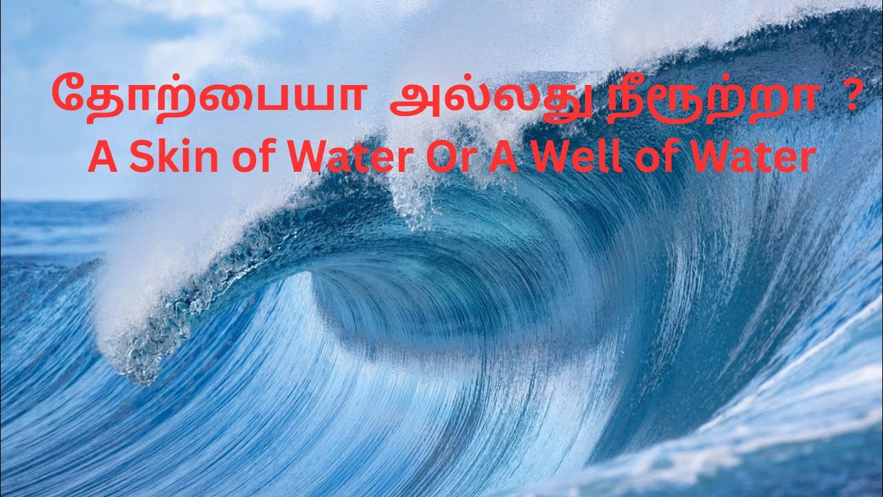தோற்பையா  அல்லது நீரூற்றா  ? A Skin of Water Or A Well of Water ?