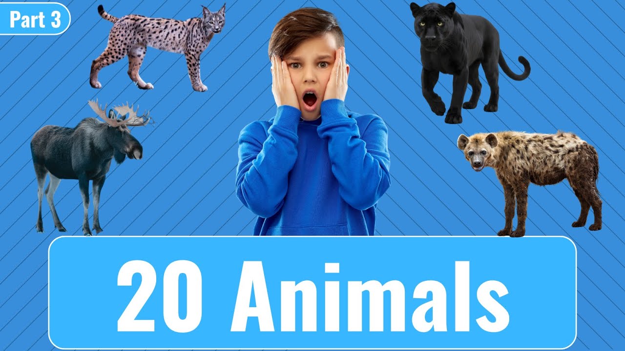 🐾 20 Animals in English with Pictures | Part 3 | Learn English Vocabulary Easily