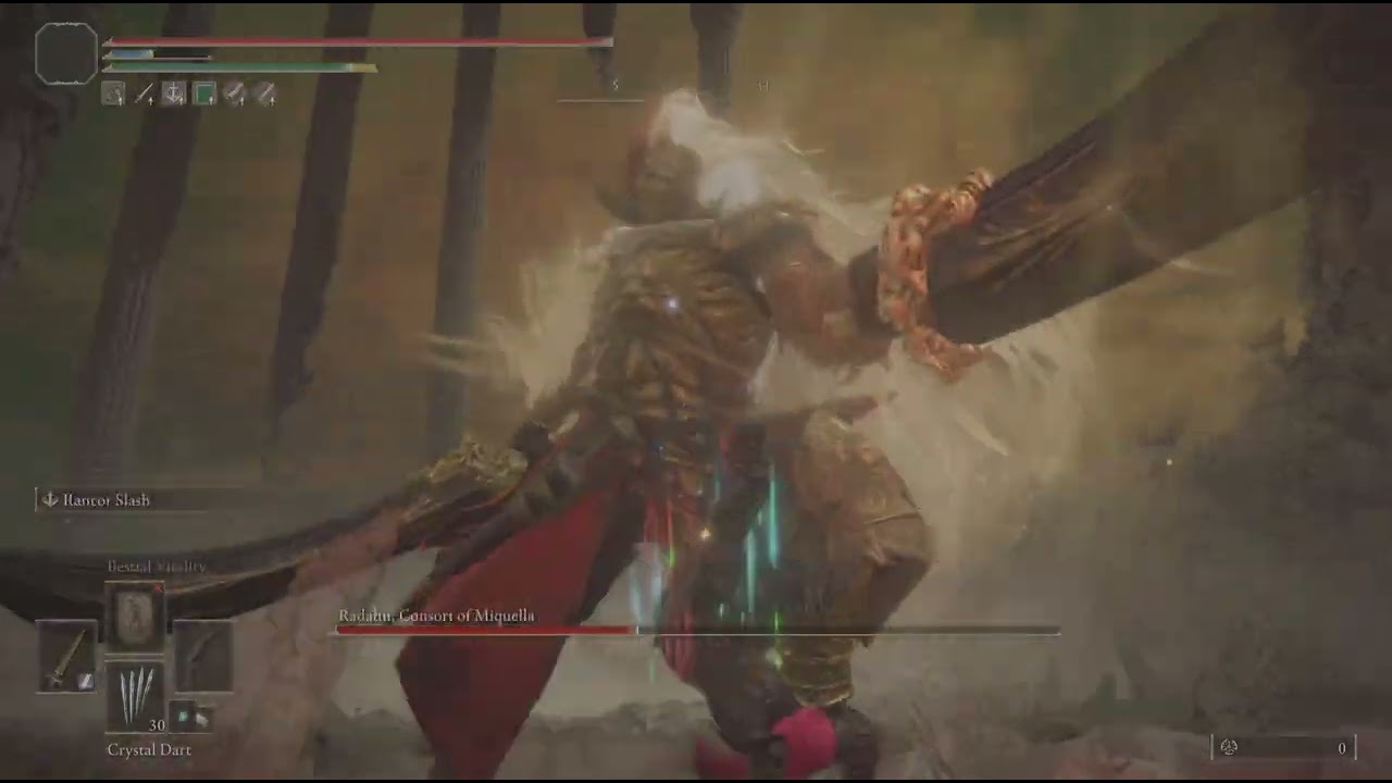 Halberds 27 dex/int (PCR) no hit