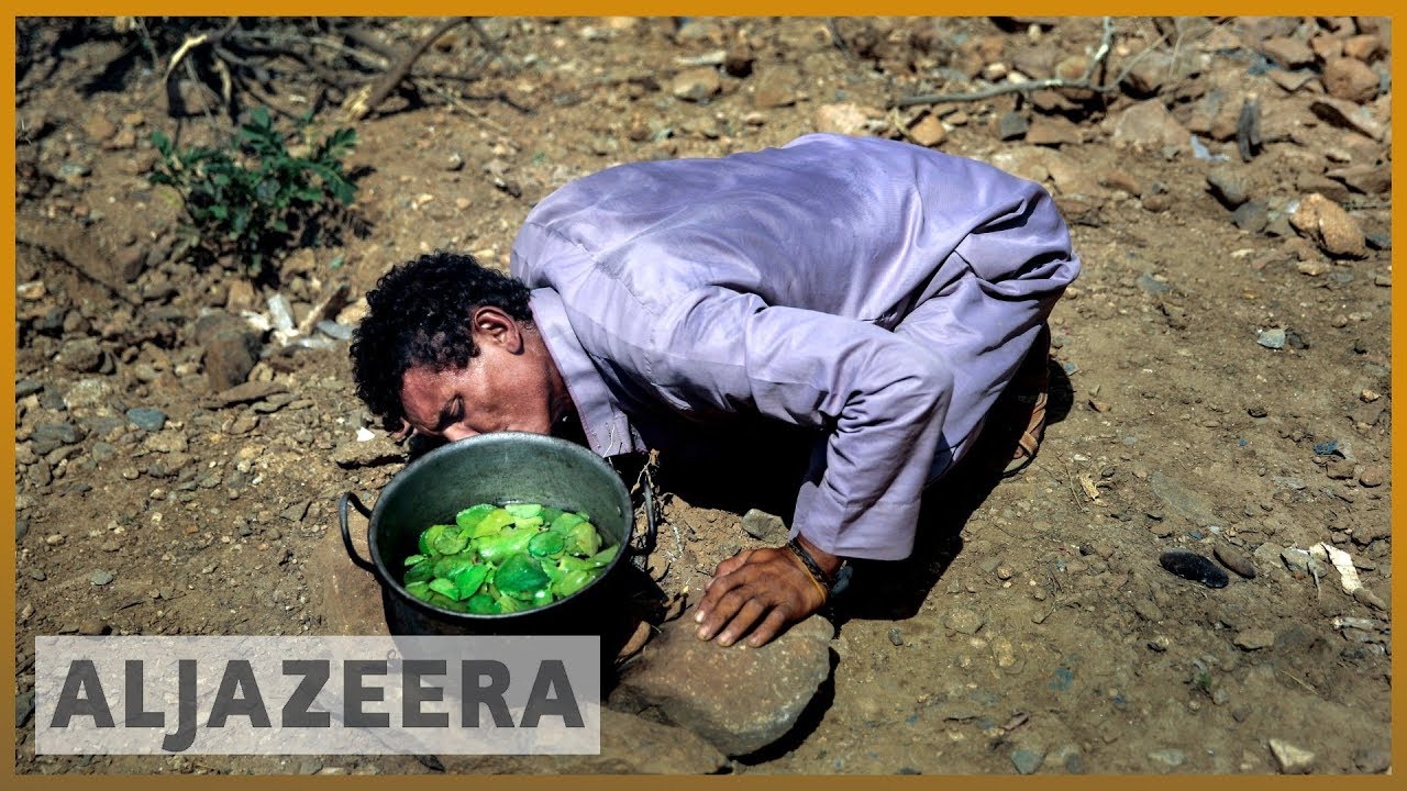 Eid in Yemen: Civilians endure another year of war