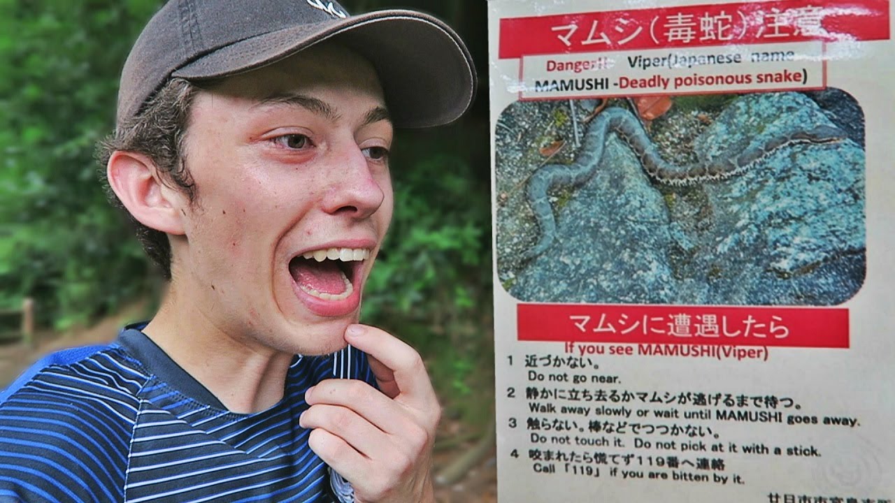 ATTENTION AUX SERPENTS ! | VLOG JAPON MIYAJIMA